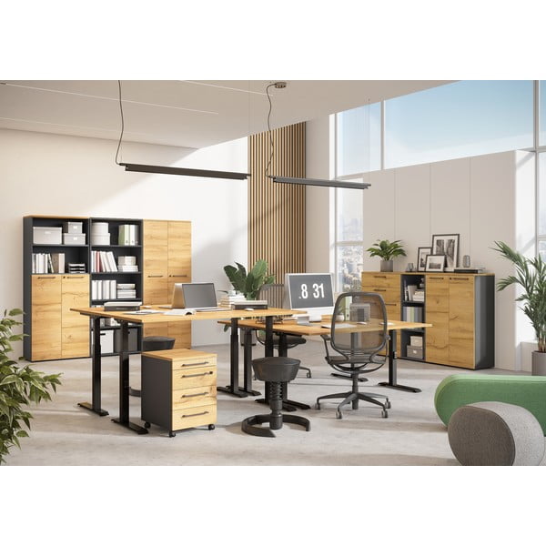 Darba galds ar elektriski regulējamu augstumu un ozolkoka imitācijas galda virsmu 80x160 cm Agenda – Germania-image-4