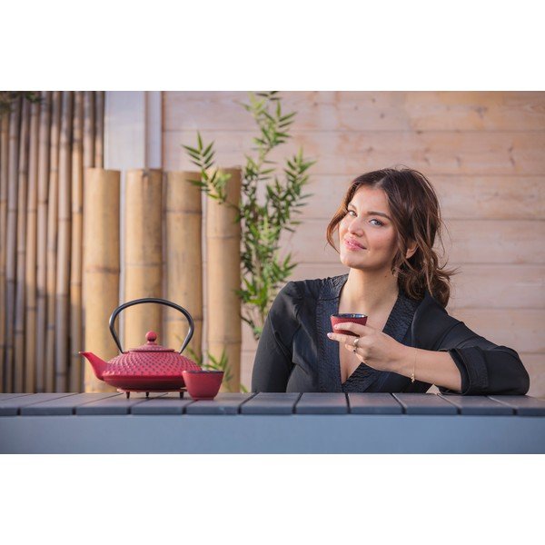 Sarkana čuguna tējkanna ar sietiņu lapu tējai Bredemeijer Xilin, 1,25 l-image-4