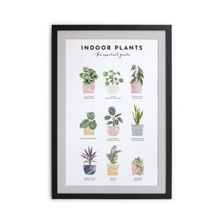 Sienas glezna rāmī Really Nice Things Indoor Plants, 30 x 40 cm