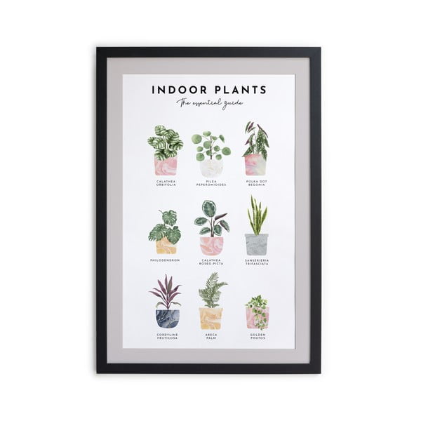 Sienas glezna rāmī Really Nice Things Indoor Plants, 30 x 40 cm