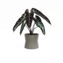 Keramikas puķu pods ø 20 cm Diana – Artevasi