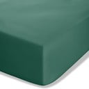 Tumši zaļš palags no perkala ar gumiju 90x190 cm Easy Iron Percale – Catherine Lansfield