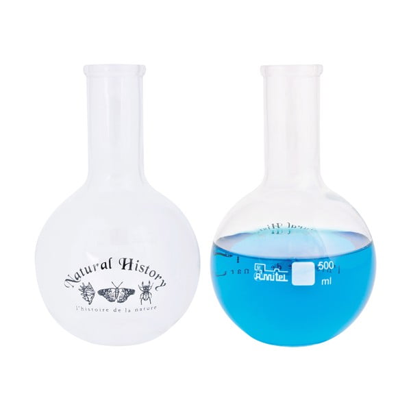 Stikla vāze (augstums 23 cm) Natural History – Esschert Design-image-2