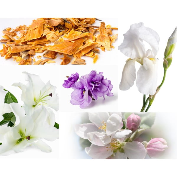 Aromātiskā sojas vaska svece degšanas laiks 60 h Muscs Poudres – Privé Home-image-2