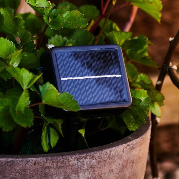 Saules panelis Lucas – Sirius-image-1