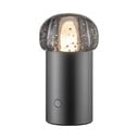 LED pārvietojams āra gaismeklis ar regulējamu spilgtumu un USB ø 10 cm Iris – Blomus