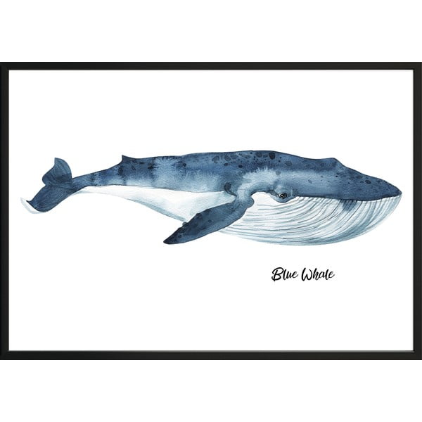 Sienas plakāts rāmī Whale, 40 x 50 cm