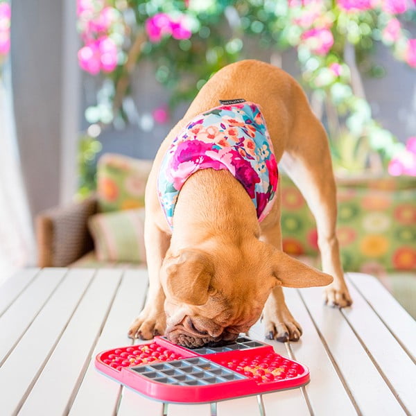 Laizāmais paliktnītis mājdzīvniekiem Slomo Red – LickiMat-image-1