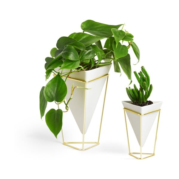 Keramikas garšaugu podiņi (2 gab.) Trigg – Umbra-image-3