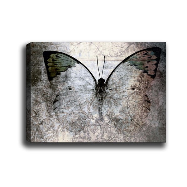 Attēls Tablo Center Fading Butterfly, 70 x 50 cm