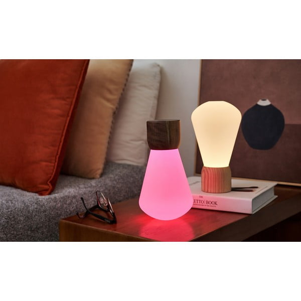 Dabīga toņa dimmējama galda lampa (augstums 13 cm) Pentagon – Gingko-image-3