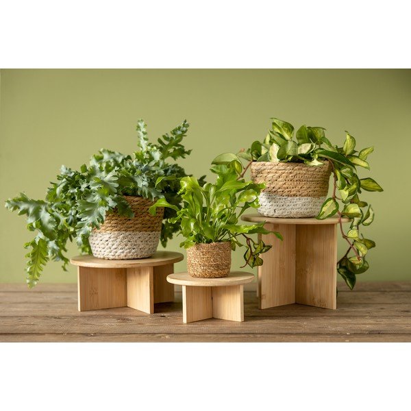 Bambusa puķu podu statīvs ø 25 cm (augstums 19,5 cm) – Esschert Design-image-3