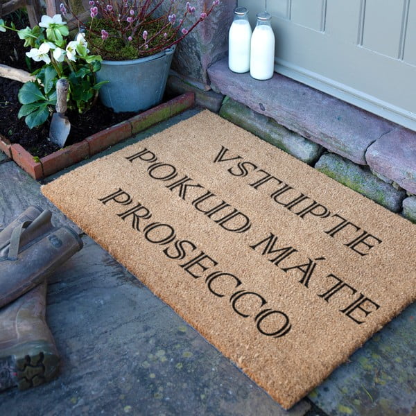 Kokosšķiedras kājslauķis 40x60 cm Prosecco – Artsy Doormats-image-3