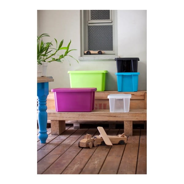 Zila uzglabāšanas kaste ar vāku Curver Essentials, 45 l-image-2