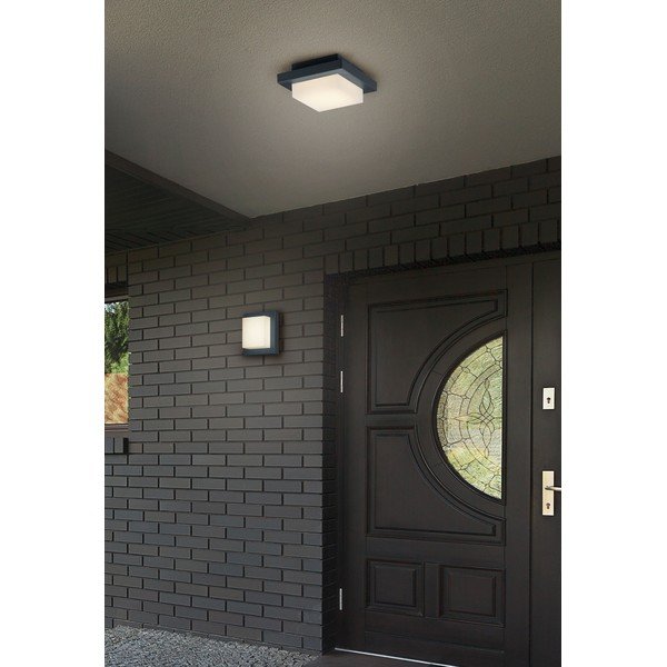 LED sienas āra gaismeklis (augstums 14 cm) Hondo – Trio-image-2