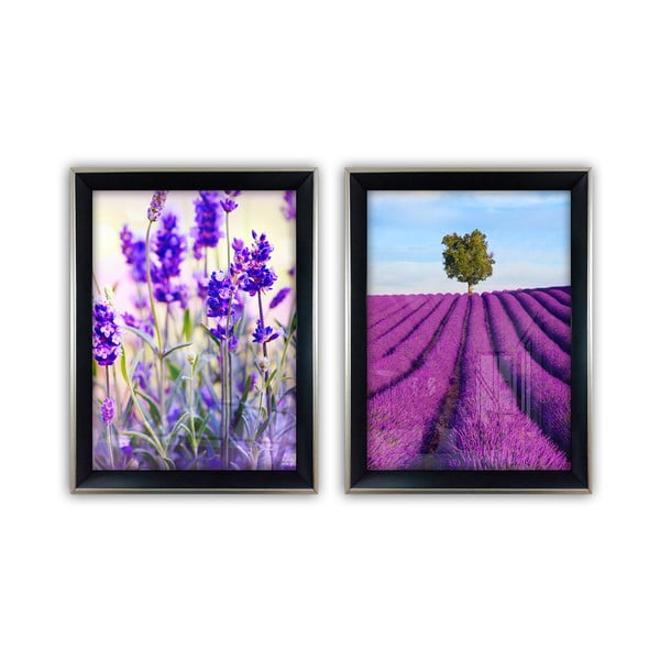 2 stikla gleznu komplekts Vavien Artwork Lavender, 35 x 45 cm