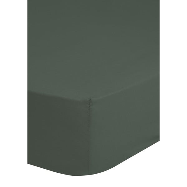 Olīvzaļš kokvilnas satīna palags ar gumiju HIP, 160 x 200 cm-image-1