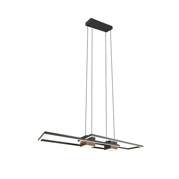 Matēti melna LED piekaramā lampa ar tālvadību/ar regulējamu spilgtumu Albany – Trio-image-3