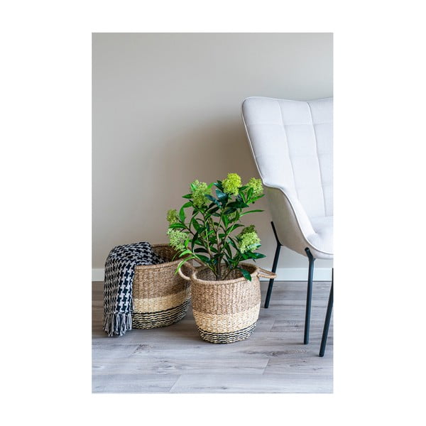 Mākslīgais augs Skimmia – House Nordic-image-2