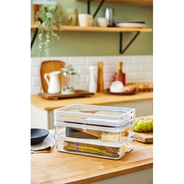 Plastmasas ledusskapja organizators Cauma – Rotho-image-4