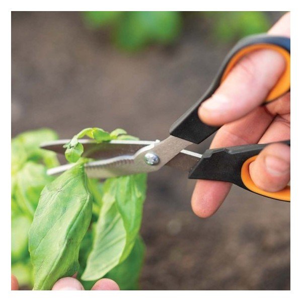 Dārzeņu šķēres Fiskars Solid Veggie-image-1