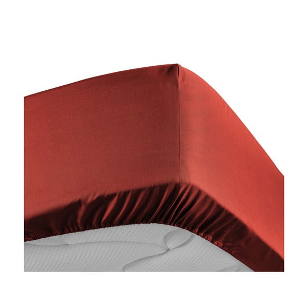 Ķieģeļu sarkans palags no kokvilnas perkala ar gumiju 180x200 cm Percaline – douceur d'intérieur-image-3