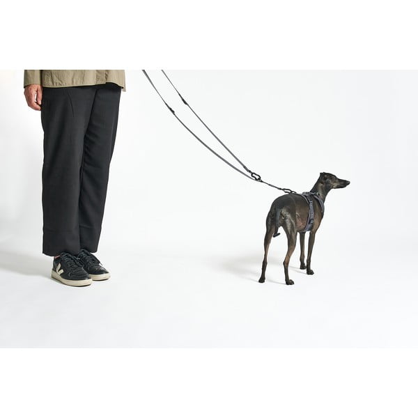 Bēša noņemama pavada garums 200 cm Modena Greige 20 mm – MiaCara-image-2