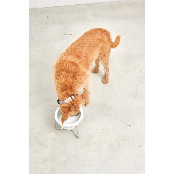 Porcelāna bļodiņa ar pamatni suņiem ø 20 cm Pranzo Greige M – MiaCara-image-4