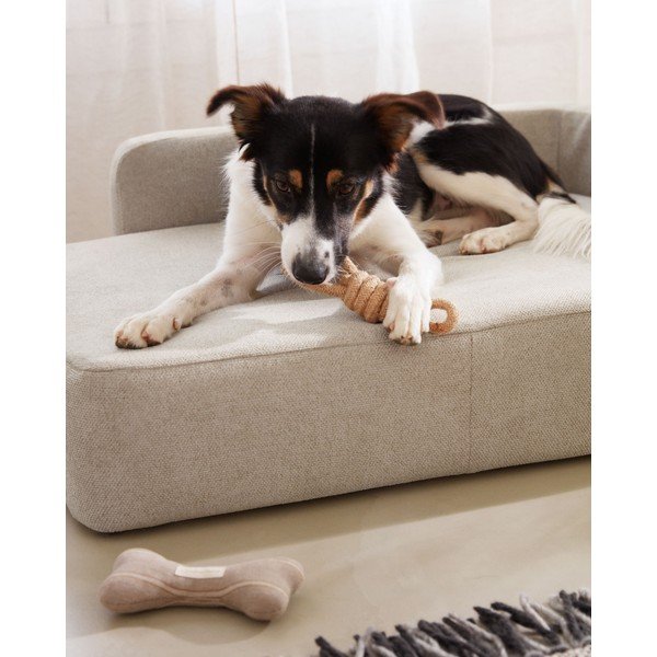 Smilškrāsas suņu gulta 96x70 cm Bowie – Kave Home-image-2
