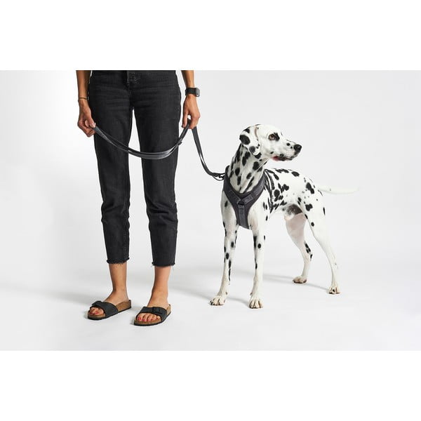 Tumši pelēka plecu siksna L garums 42 cm Modena Asphalt L – MiaCara-image-1