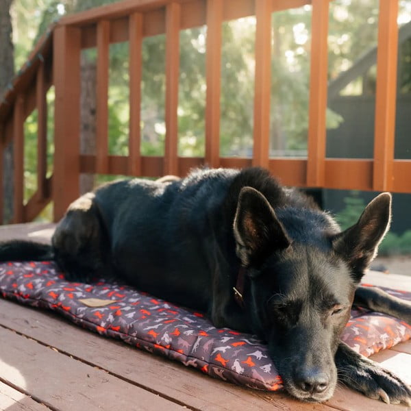 Brūna ceļojumu gulta suņiem 50x75 cm Outdoor Chill Pad Mocha M – P.L.A.Y.-image-1