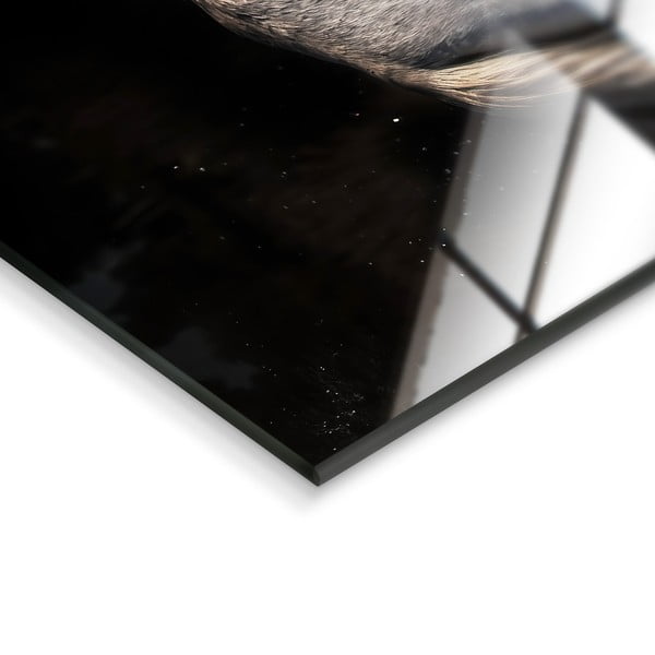 Stikla glezna 120x80 cm Ele - Styler-image-3