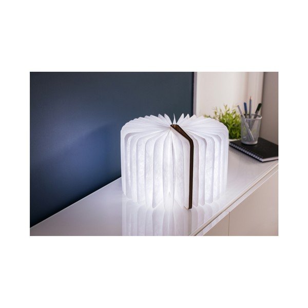 Dabīga toņa gaismas dekors ar USB Booklight – Gingko-image-3