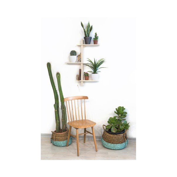 Egles koka augu plaukts Really Nice Things Natural-image-2