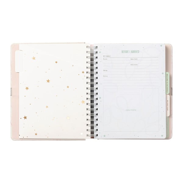 Mazuļa atmiņu dienasgrāmata 98 lpp. Pink – Busy B-image-3