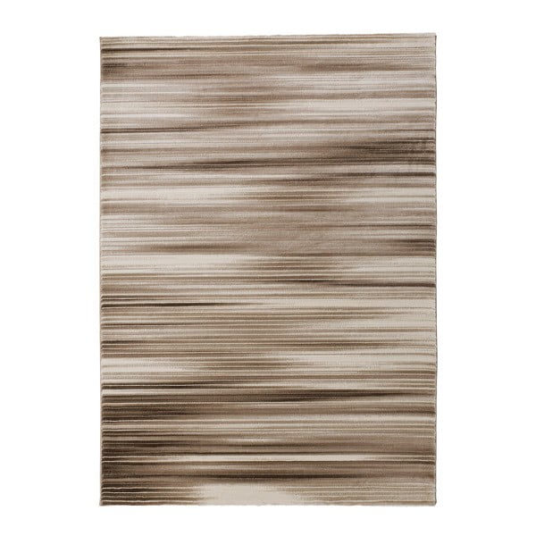 Paklājs Universal Pisa, 160 x 230 cm