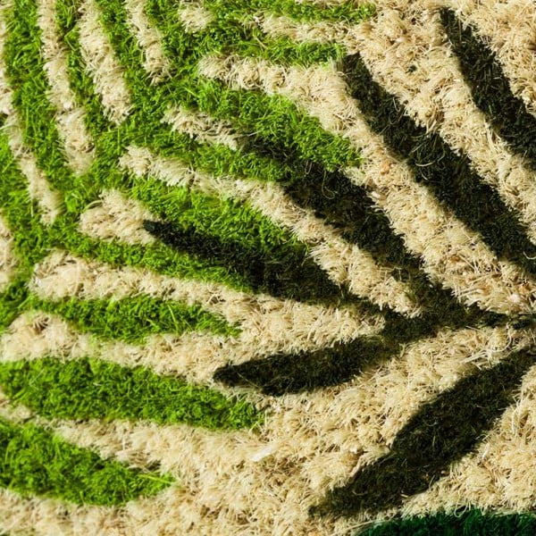 Kokosšķiedras kājslauķis 60x40 cm Tropicalia – Casa Selección-image-2