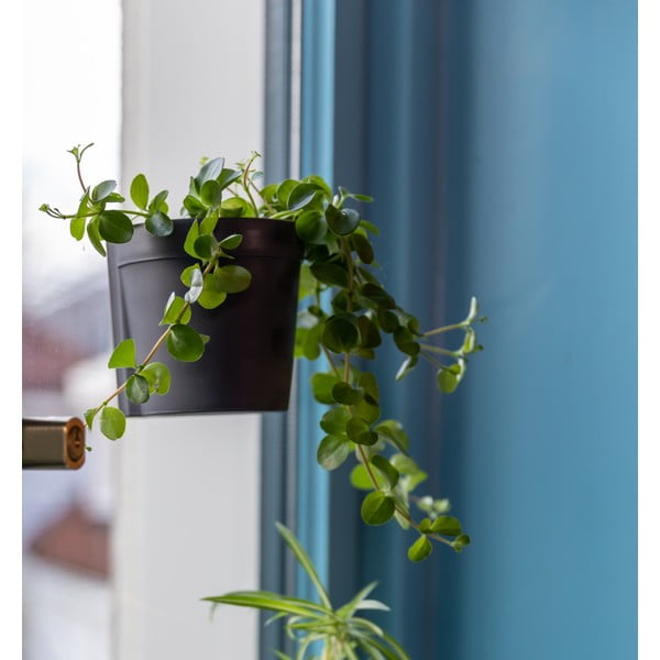 Plastmasas piekarināmi un pie sienas liekami puķu podi (2 gab.) ø 10 cm – Esschert Design-image-4