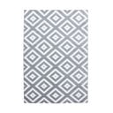 Gaiši pelēks paklājs 80x150 cm Plus – Ayyildiz Carpets