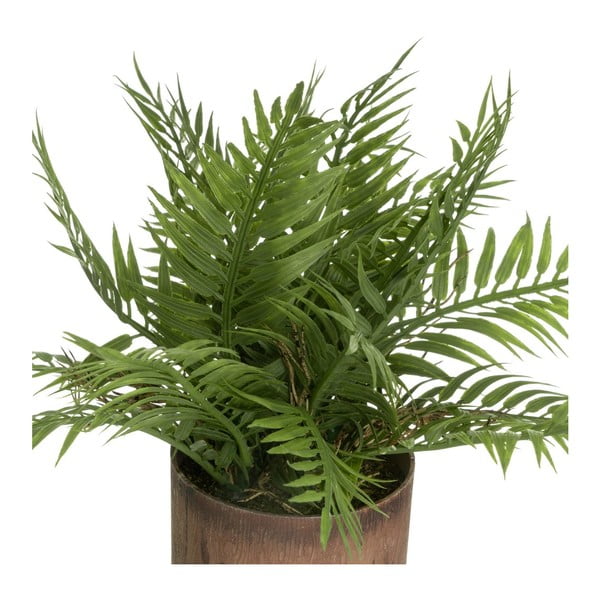 Mākslīgie augi (2 gab.) (augstums 22 cm) – Casa Selección-image-2