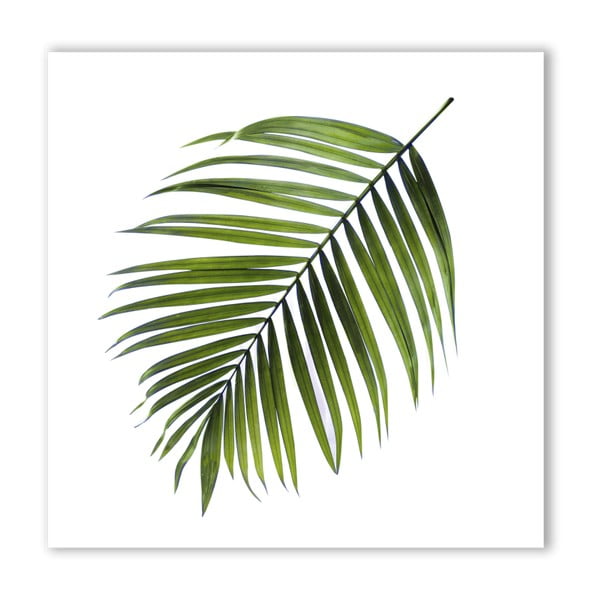 Attēls Styler Canvas Greenery Black Palm, 32 x 32 cm