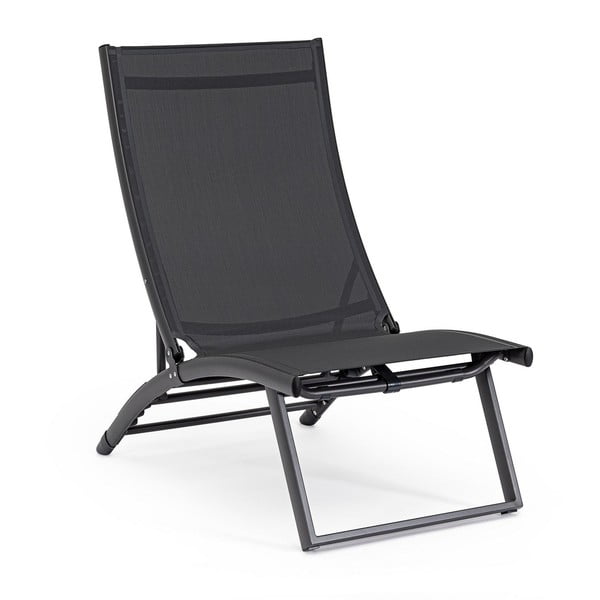 Antracīta pelēks metāla dārza zvilnis Taylor – Bizzotto