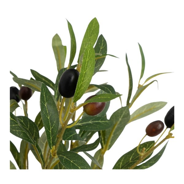 Mākslīgais olīvkoks – Casa Selección-image-2