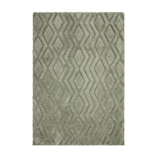 Zaļš paklājs 170x120 cm Harrison – Asiatic Carpets