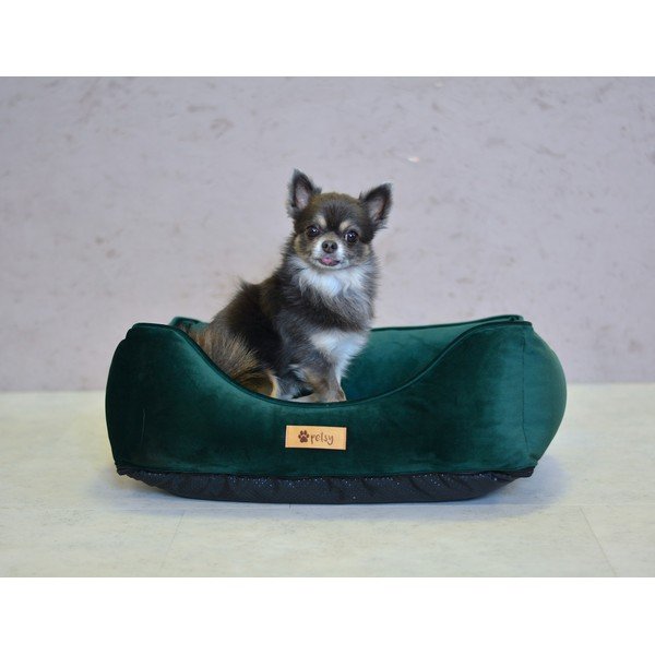 Tumši zaļa samta gulta mājdzīvniekiem 55x42 cm Royal – Petsy-image-2