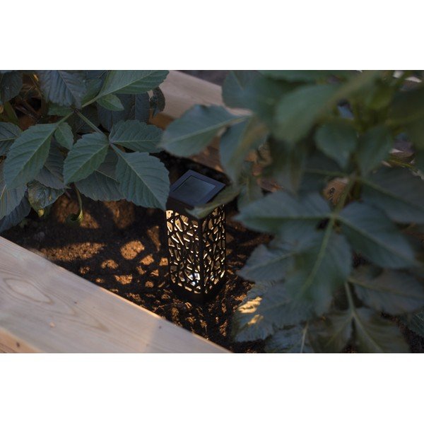 3 piekaramo LED laternu komplekts ar saules baterijām Star Trading Izola, augstums 11 cm-image-2