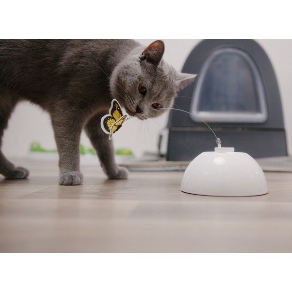 Rotaļlieta kaķim Epic Pet Interactive Butterfly – Plaček Pet Products-image-1