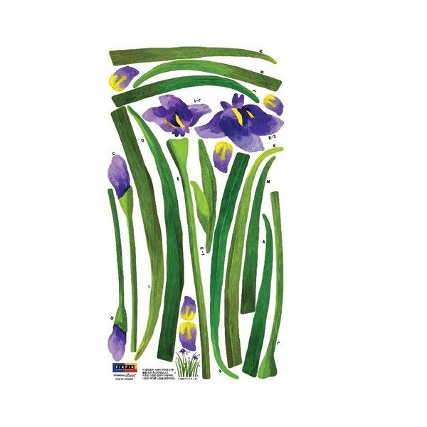 Uzlīmes Iris Purple, 33x60 cm-image-1