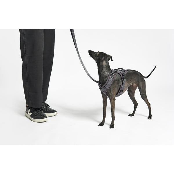 Bēša plecu siksna XS garums 25 cm Modena Greige XS – MiaCara-image-2