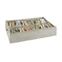 Apavu organizators Balance – Wenko